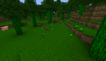 LittleWarprince Forest