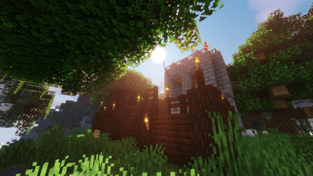 Dark Oak Town Hall