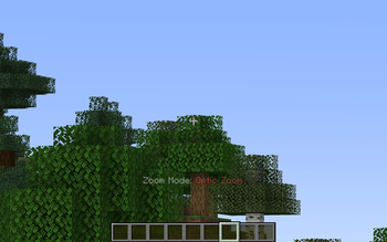 View of player on Optic Zoom Mode