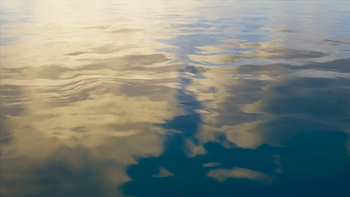 Water reflects the sky. 