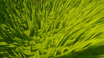 3D Grass 2.0 2.6.1+