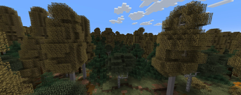 Aspen Taiga