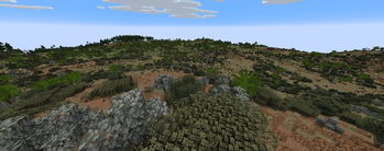 Dry Warm Shrubland