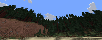 Coastal Temperate Rainforest
