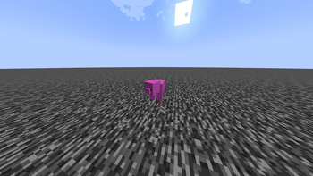 Pig3 Forward