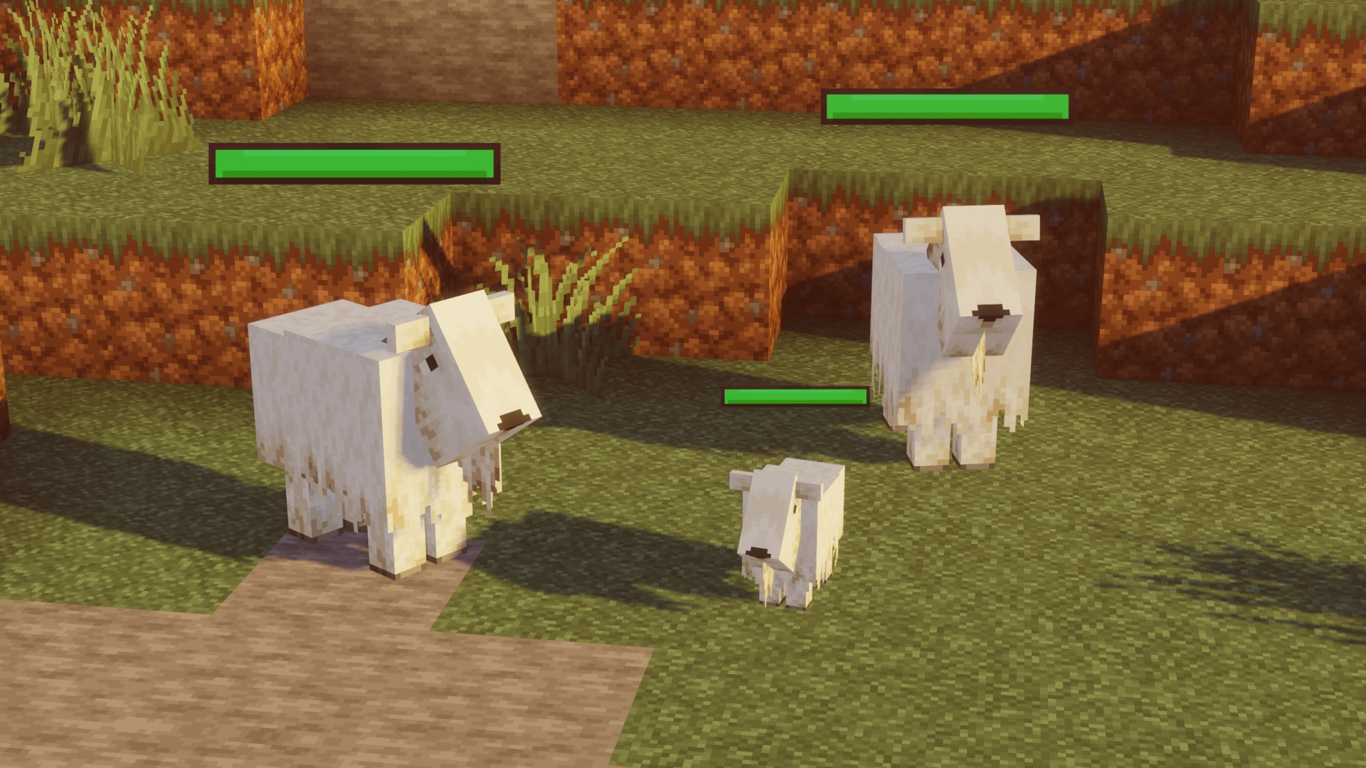 Goats