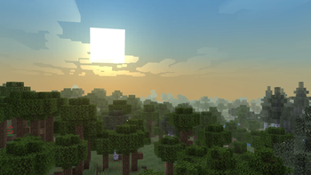 forest at sunset horizon