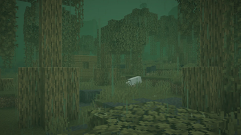 foggy swamp forest