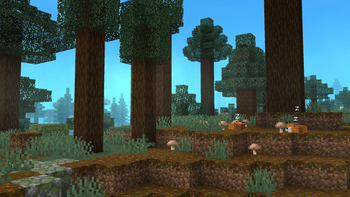 spruce forest with slepy foxes