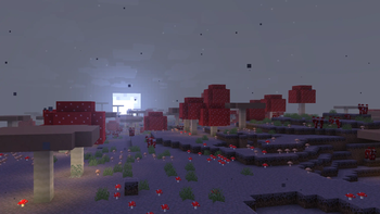 mushroom fields at night