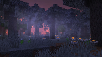 foggy pale garden at night