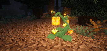 Rare Flowers