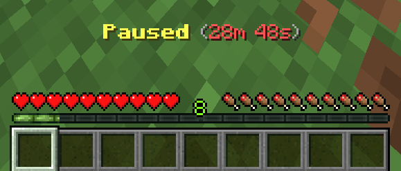 Timer (Paused)