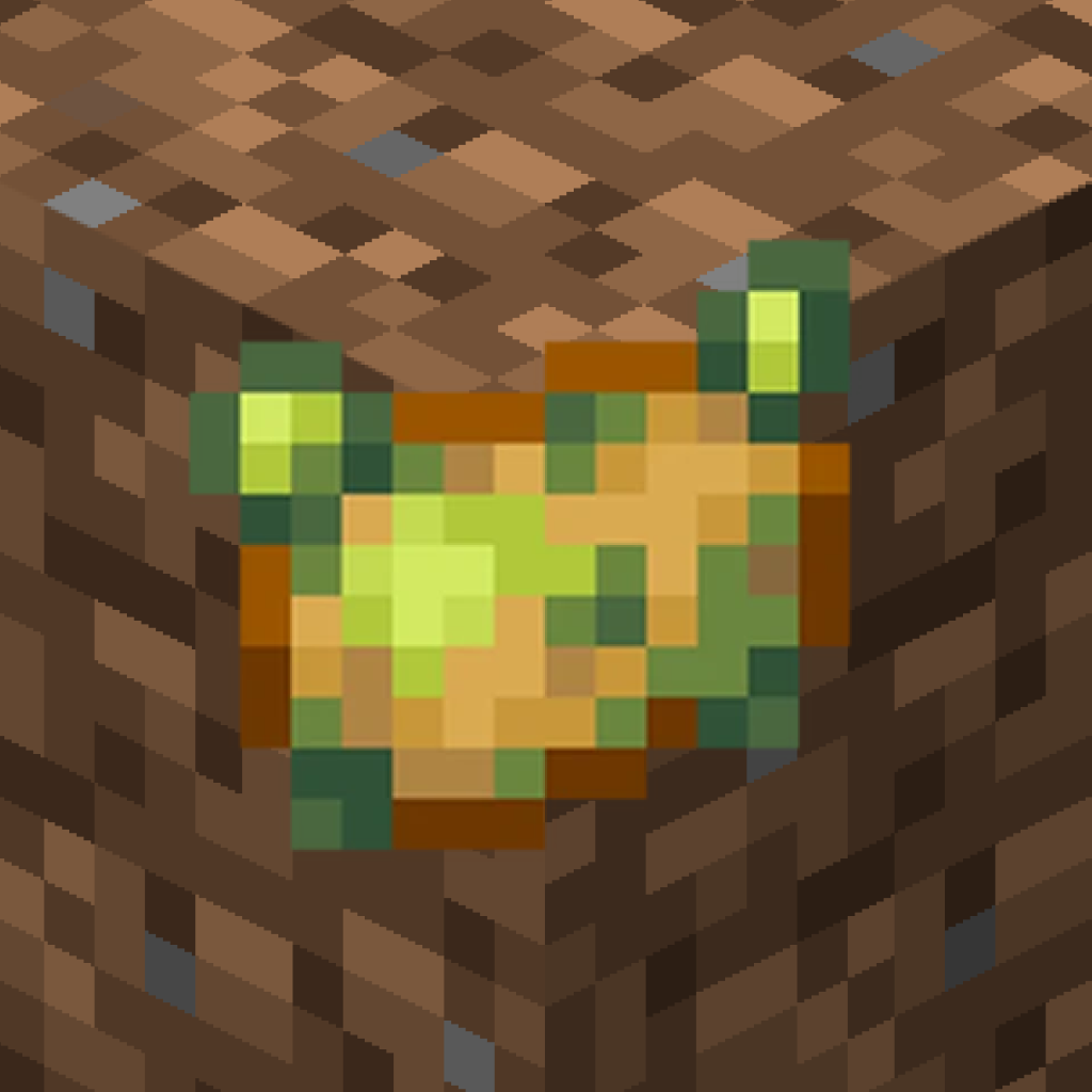 Life Potato