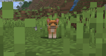 Cat standing in plains biome