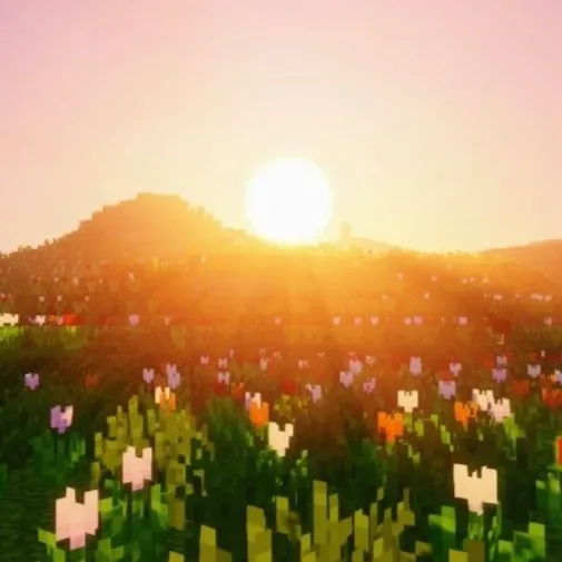 DawnMC