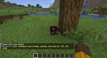 Safely Stored Upon Death