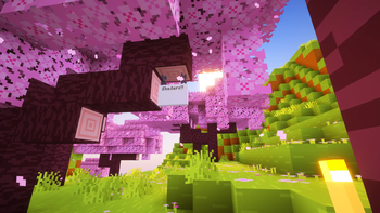 Shaders!!