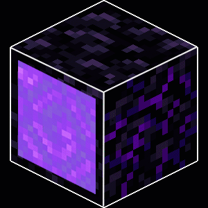 Crying Obsidian in Nether Portal Frame