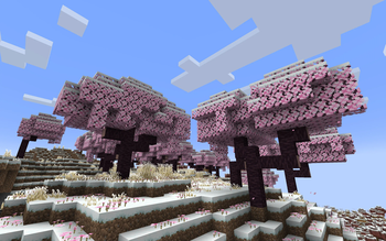 Cherry Trees