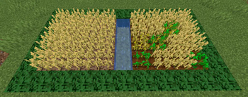 Mulch/farmland comparison.