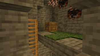 Pewen Chest & Ladders