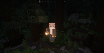 lanterns