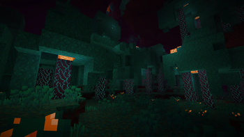 Warped Forest