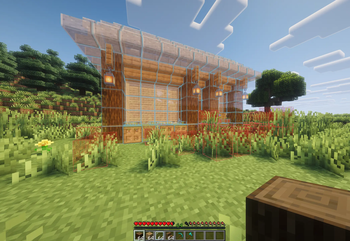 Load your Hologram in the survival world