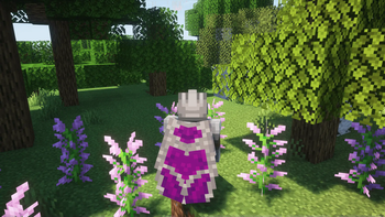 Better Elytra Showcase - standing
