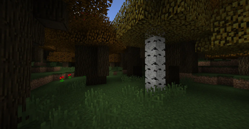 1.7.2 - 1.13.2 Dark Forest