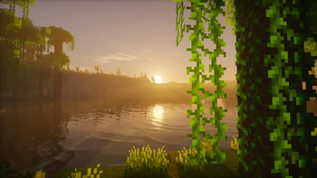 Jungle View