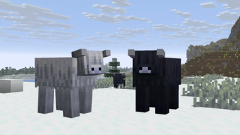 Frigid Cow