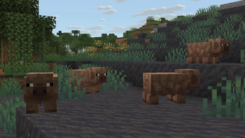 Bog Pig