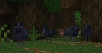 Roofed Chicken