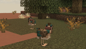 Mesa Chicken