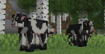 Chalky Cow