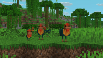 Tropical Chicken