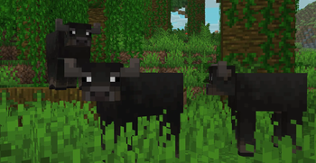 Damp Cow