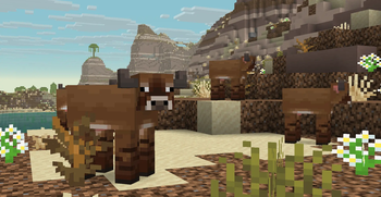 Bush Cow