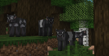 Soot Cow