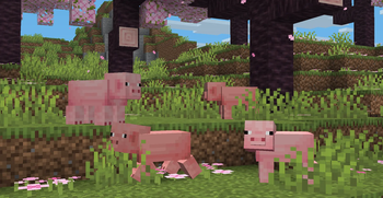 Grove Pig