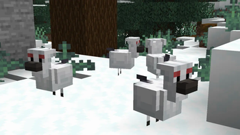 Frosty Chicken