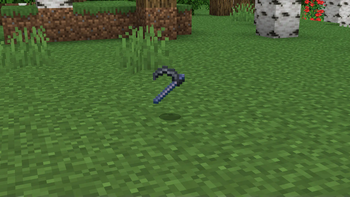 Item On Ground