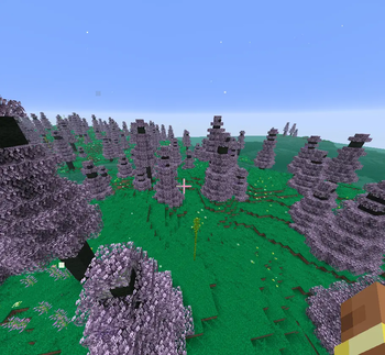 Sage wood forest
