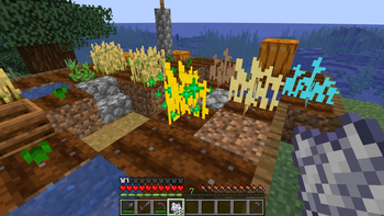 Planted Seeds