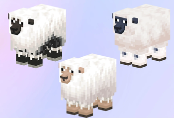 Cold sheep