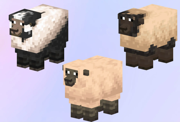 Warm Sheep