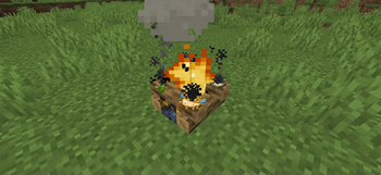 Campfire Cooking