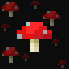 Beta Mushroom Spreading
